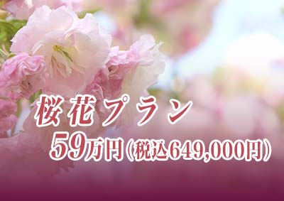 桜花プラン